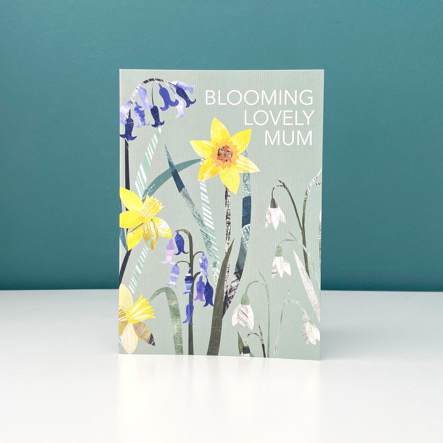 Blooming lovely Mum Greeting card has been placed on a white shelf with a blue green background.  It features the words Blooming Lovely mum and some Daffodils, Bluebells and Snowdrops on a pale green background.