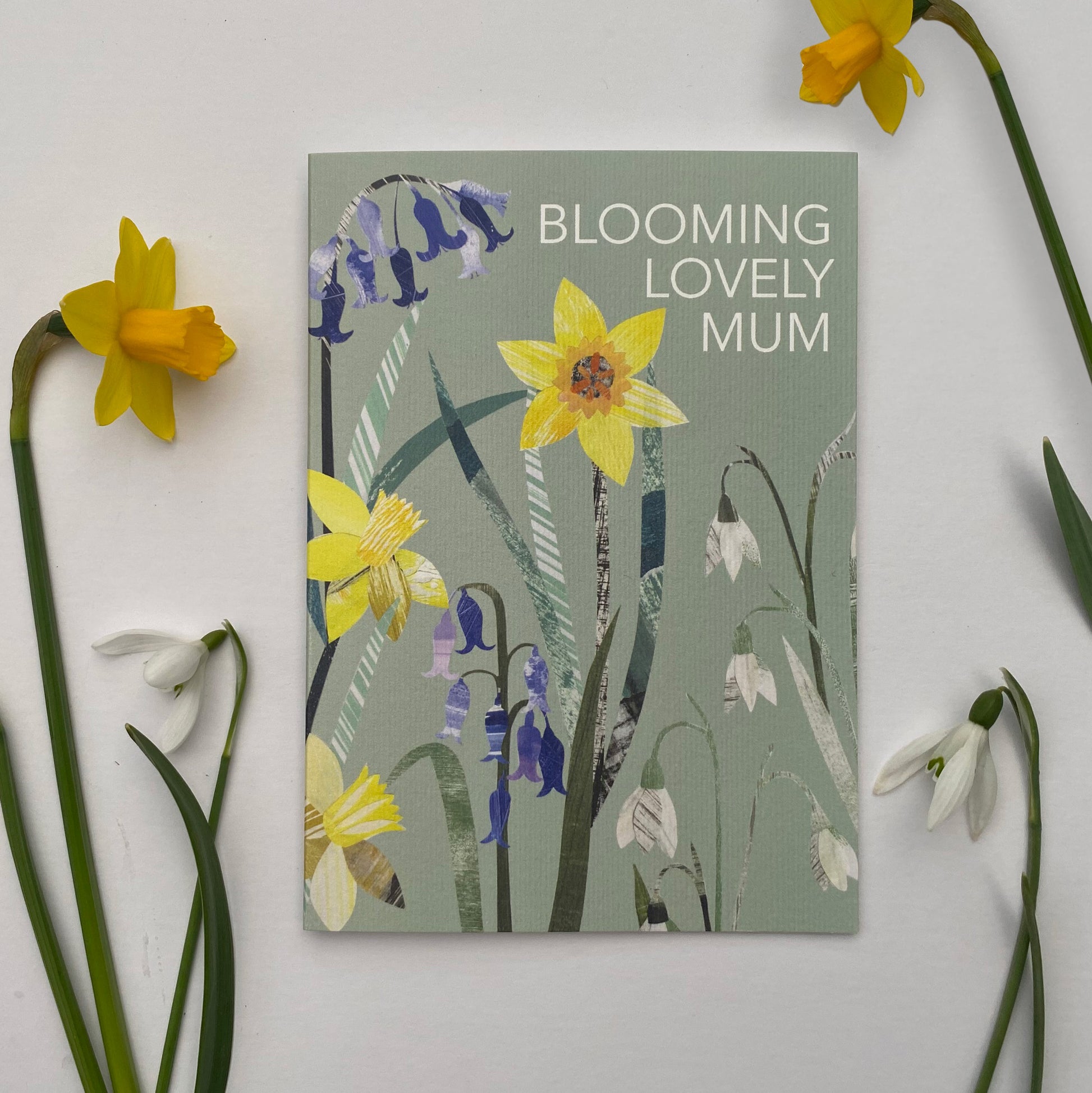 Blooming lovely Mum Greeting card has white background and  has some Daffodils and Snowdrops placed next to it.