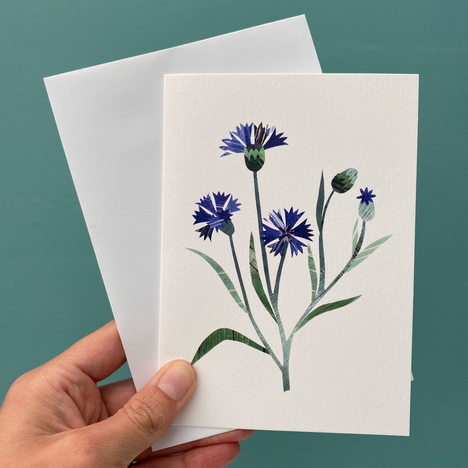 A Cornflower greeting card featuring unique hand collaged design with Blue Corn Flowers and green leaves on a plain white background with a white envelope is being held against a blue/green background.