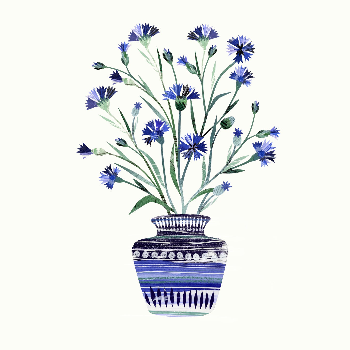 Blue cornflowers in a blue vase on a white background.
