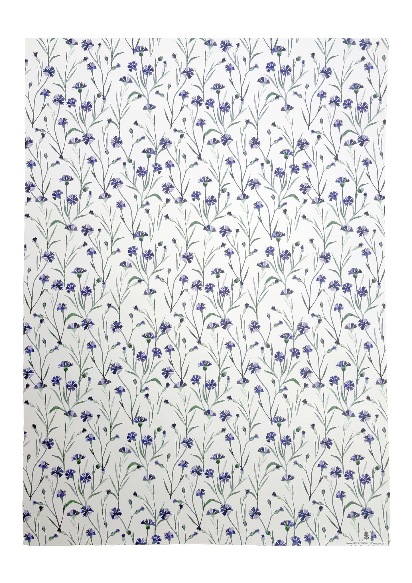 A full sheet of cornflower Gift wrap has been placed on a white background.