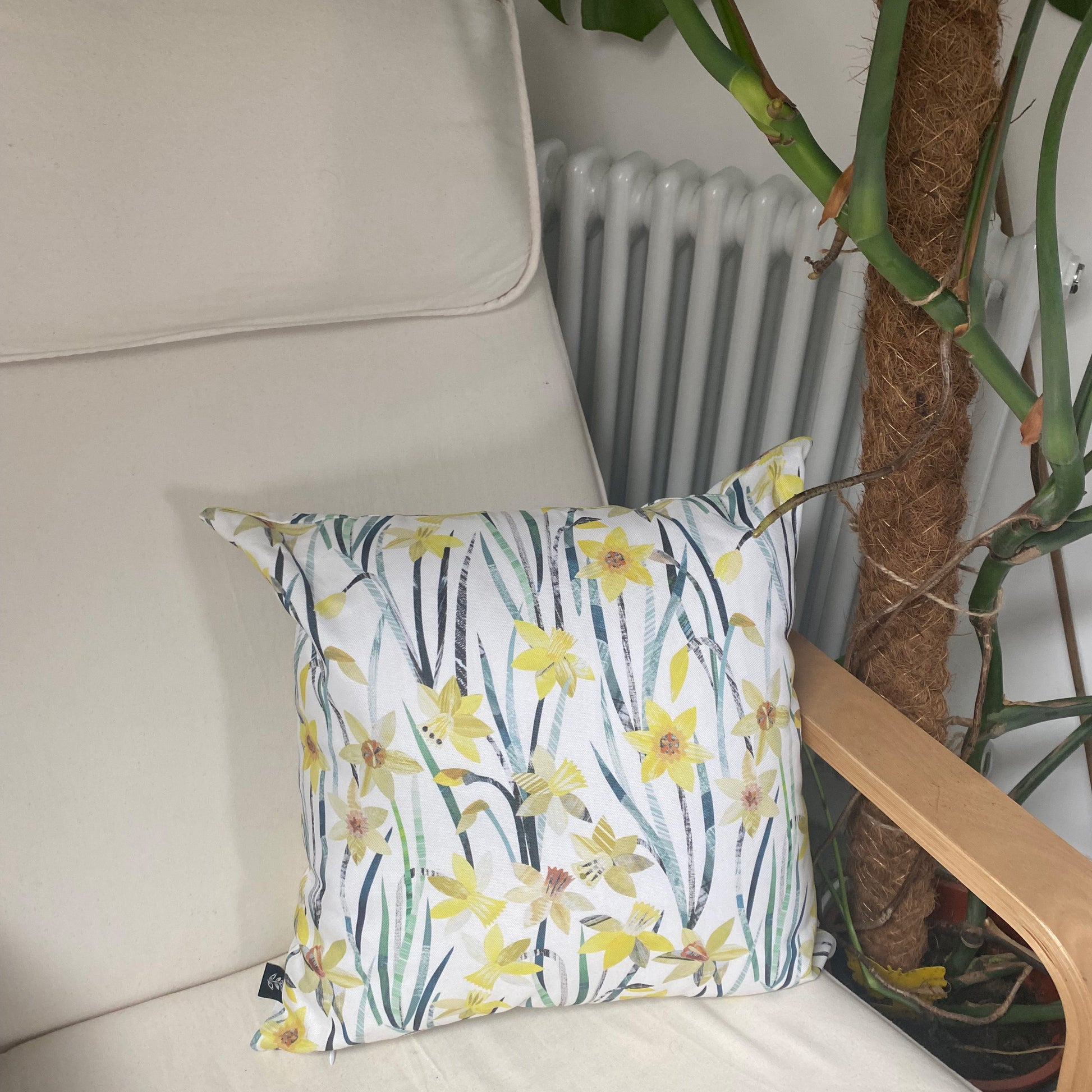 A Daffodil Cushion has been placed onto a cream canvas and wooden armchair, you can see a radiator and plant in the background.