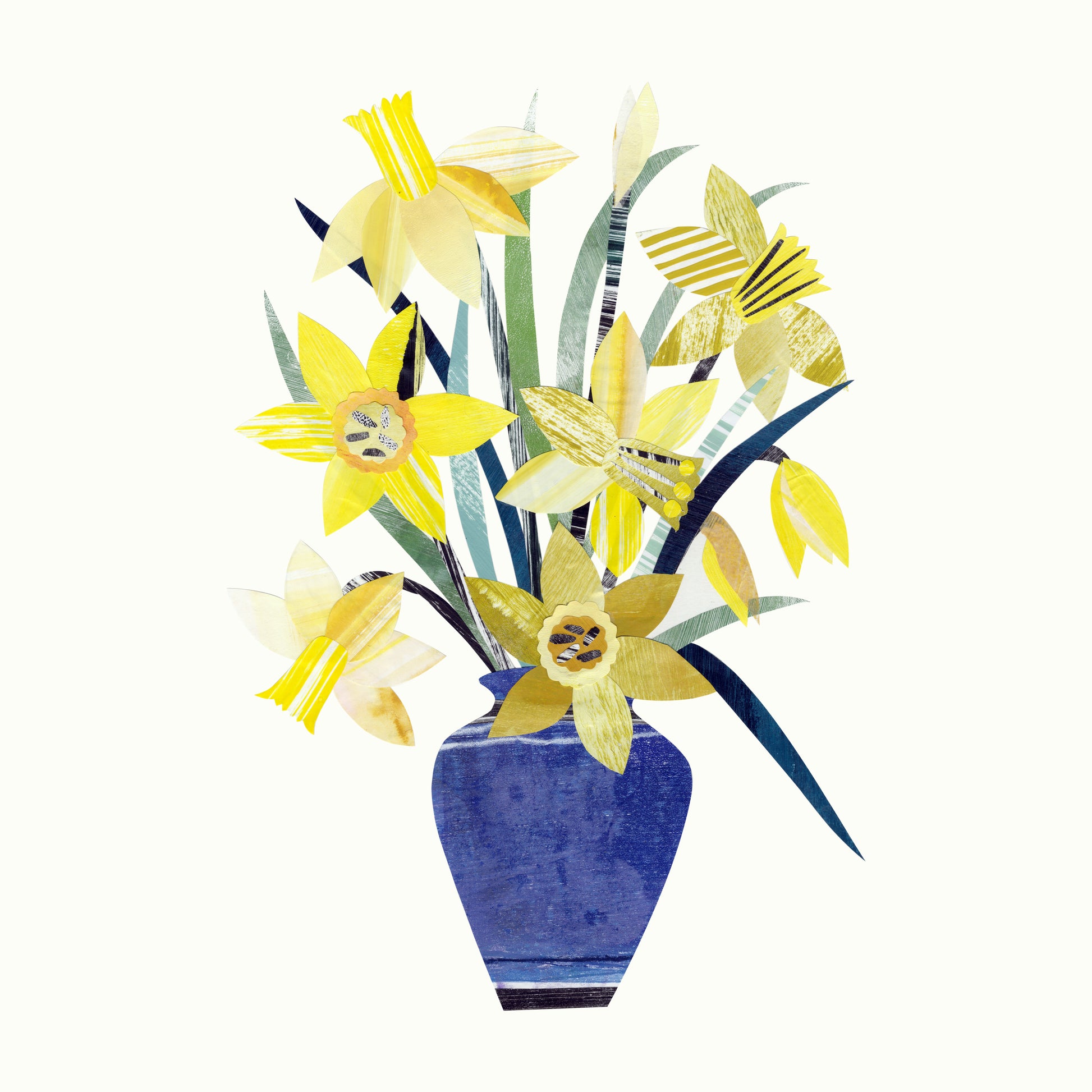 A picture of yellow daffodils in a blue vase on a off white background.