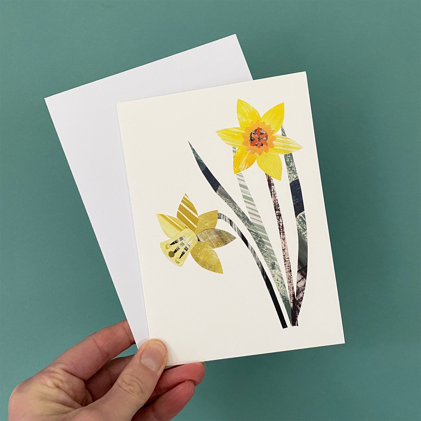 Daffodil Greeting card and white envelope is being held in front of a blue green wall.