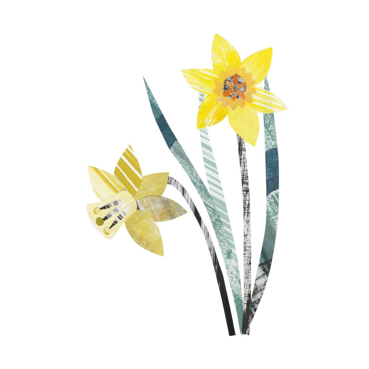 Close up of the Yellow Daffodil artwork on a white background.