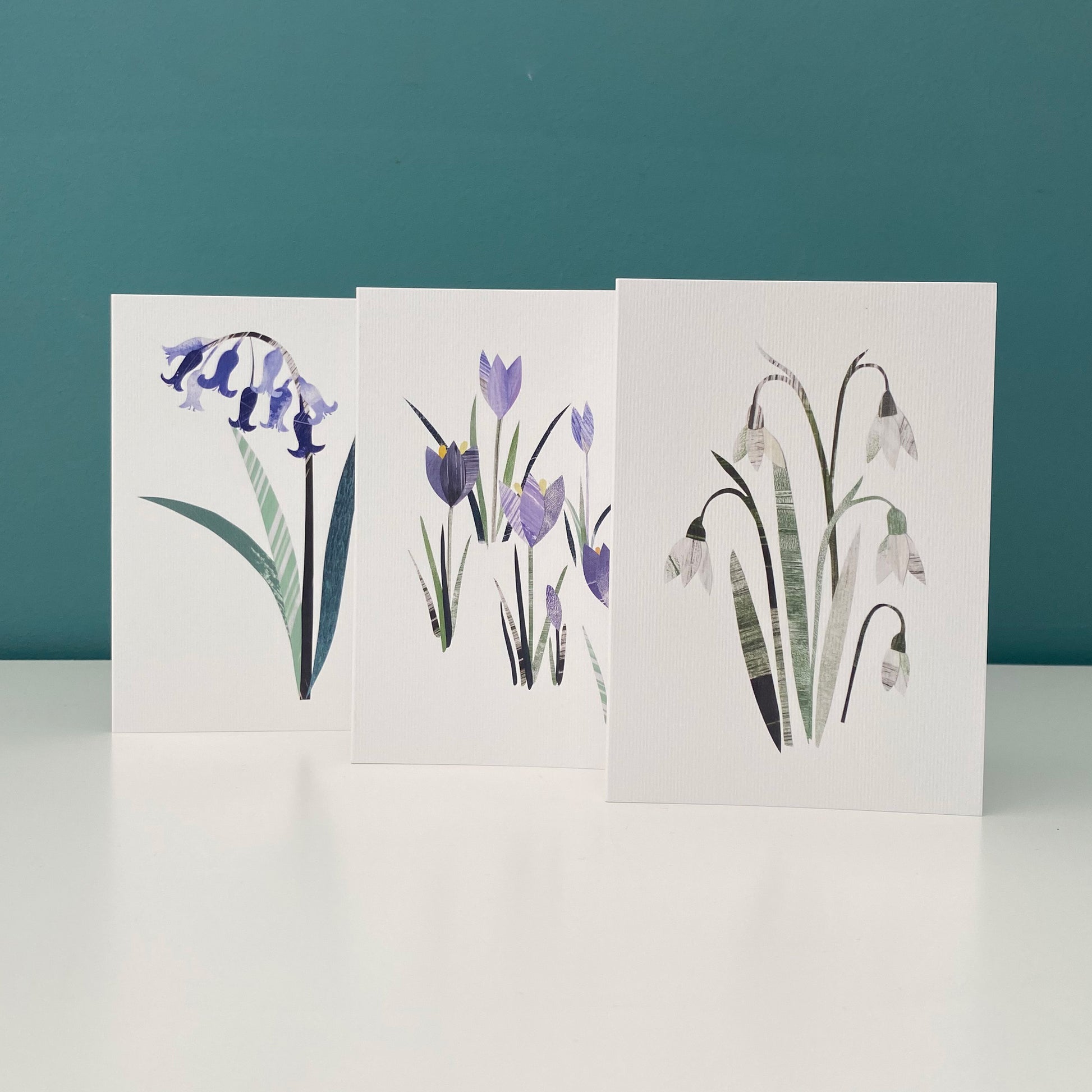 A set of three spring flowers greeting cards have been stood up on a white shelf.  One card has a white and cream snowdrop on it, another features Lilac Crocus Flowers and the third a Blue Bluebell.